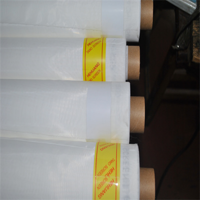 Polyester mesh belt (6)