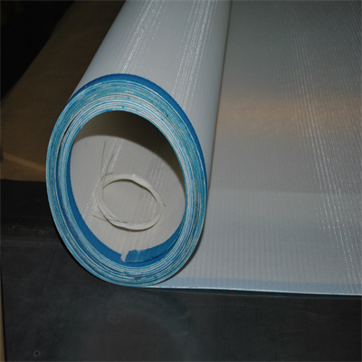 Polyester mesh belt (7)