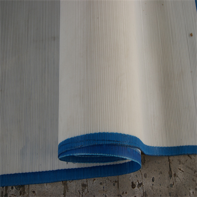 Polyester mesh belt (9)